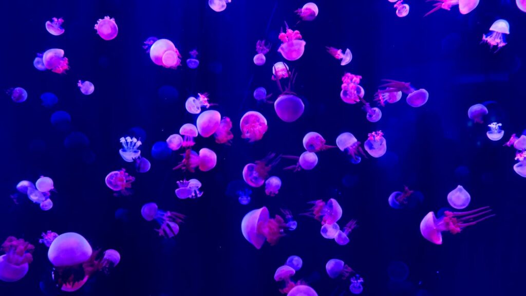 Bioluminescent Beach in India